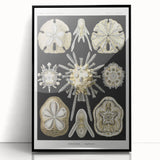 Modern Wall Art: Geometric Woman - Bold Abstract Feminine Print