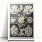 Modern Wall Art: Geometric Woman - Bold Abstract Feminine Print