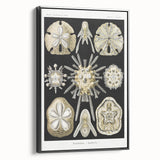 Modern Wall Art: Geometric Woman - Bold Abstract Feminine Print