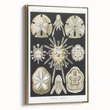 Modern Wall Art: Geometric Woman - Bold Abstract Feminine Print