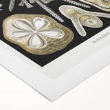 Modern Wall Art: Geometric Woman - Bold Abstract Feminine Print