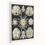 Modern Wall Art: Geometric Woman - Bold Abstract Feminine Print