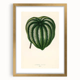 Romanticism Art - Historical Romanticism Canvas of Nature's Beauty