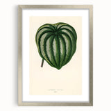 Romanticism Art - Historical Romanticism Canvas of Nature's Beauty