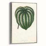 Romanticism Art - Historical Romanticism Canvas of Nature's Beauty