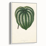 Romanticism Art - Historical Romanticism Canvas of Nature's Beauty