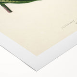 Romanticism Art - Historical Romanticism Canvas of Nature's Beauty