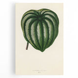 Romanticism Art - Historical Romanticism Canvas of Nature's Beauty