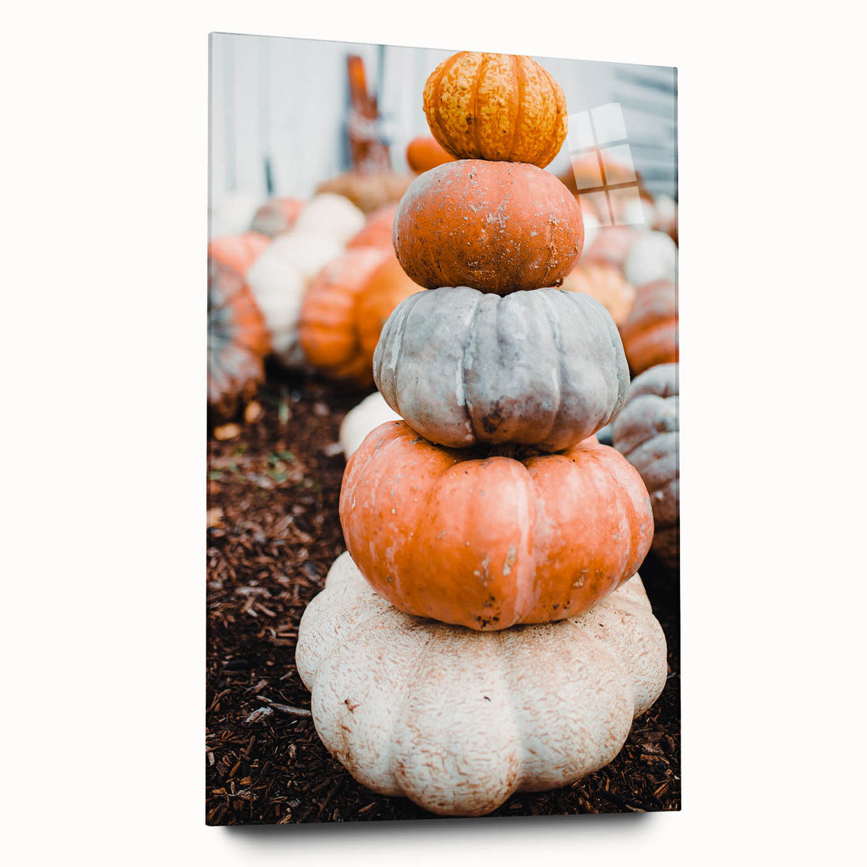Large abstract wall art featuring swirling autumnal colors on acrylic glass, ideal for bedroom or dining room decor.
