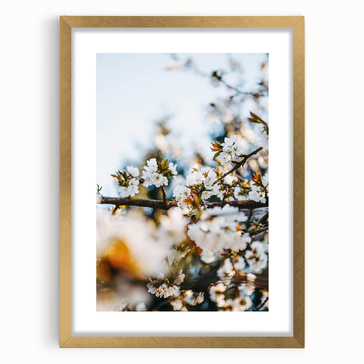Extra large abstract art print with textured design in vibrant spring tones on a gold-framed canvas.