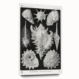 Modern Wall Art: Abstract Faces - Contemporary Minimalist Print