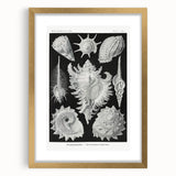 Modern Wall Art: Abstract Faces - Contemporary Minimalist Print