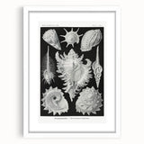 Modern Wall Art: Abstract Faces - Contemporary Minimalist Print