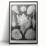 Modern Wall Art: Abstract Faces - Contemporary Minimalist Print