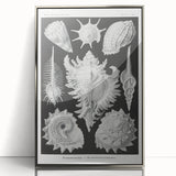 Modern Wall Art: Abstract Faces - Contemporary Minimalist Print