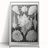 Modern Wall Art: Abstract Faces - Contemporary Minimalist Print