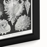 Modern Wall Art: Abstract Faces - Contemporary Minimalist Print