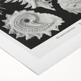 Modern Wall Art: Abstract Faces - Contemporary Minimalist Print