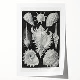 Modern Wall Art: Abstract Faces - Contemporary Minimalist Print