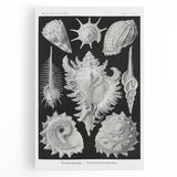 Modern Wall Art: Abstract Faces - Contemporary Minimalist Print