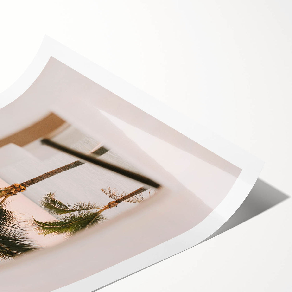 Coastal View Canvas - Palm Trees Framed Through Window Wall Art