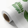 Neoclassical Botanical Art Print - Tree Leaf Set by Redouté