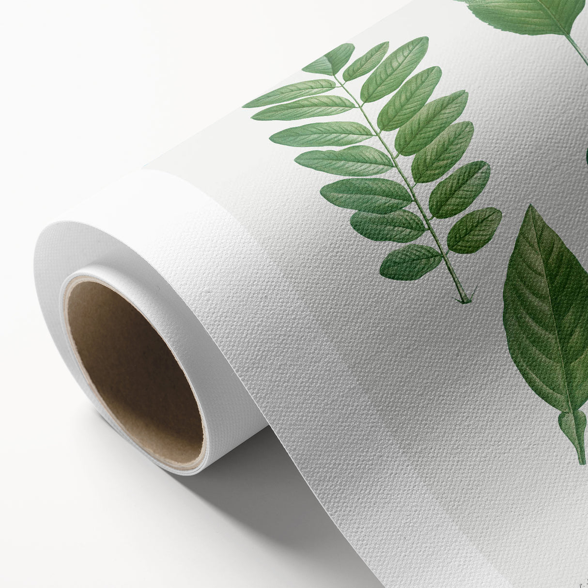 Neoclassical Botanical Art Print - Tree Leaf Set by Redouté