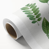 Neoclassical Botanical Art Print - Tree Leaf Set by Redouté