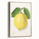 Framed canvas depicting a vintage poster of assorted fruits in a landscape, using muted earth tones.