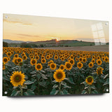 Acrylic glass display showcasing a vibrant landscape painting of a countryside scene, featuring lush greenery and rolling hills, elegantly pinned for stability.