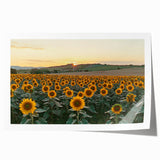 Rolled print of a serene countryside landscape showcasing rolling hills, vibrant greenery, and a clear blue sky, designed to enhance home decor and relaxation.