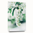 Large abstract wall art on acrylic glass depicting vibrant spring colors, ideal for bedroom or dining room decor.