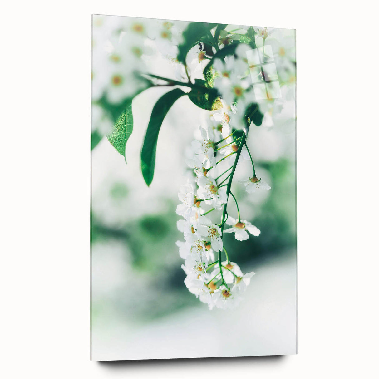 Large abstract wall art on acrylic glass depicting spring themes in soft pastel colors.