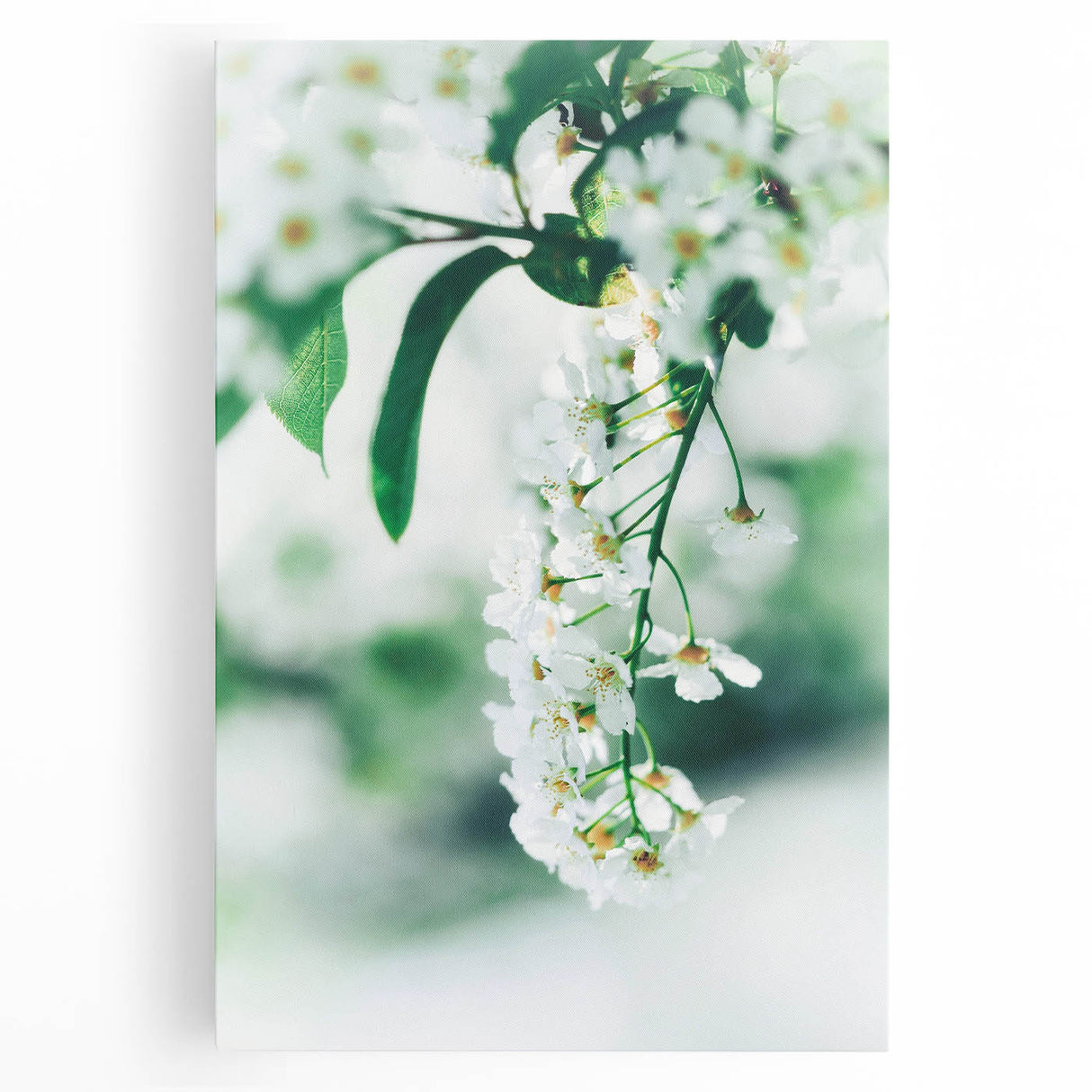 Black and white large art print of spring trees on stretched canvas, suitable for kitchen wall art.