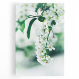 Black and white large art print of spring trees on stretched canvas, suitable for kitchen wall art.