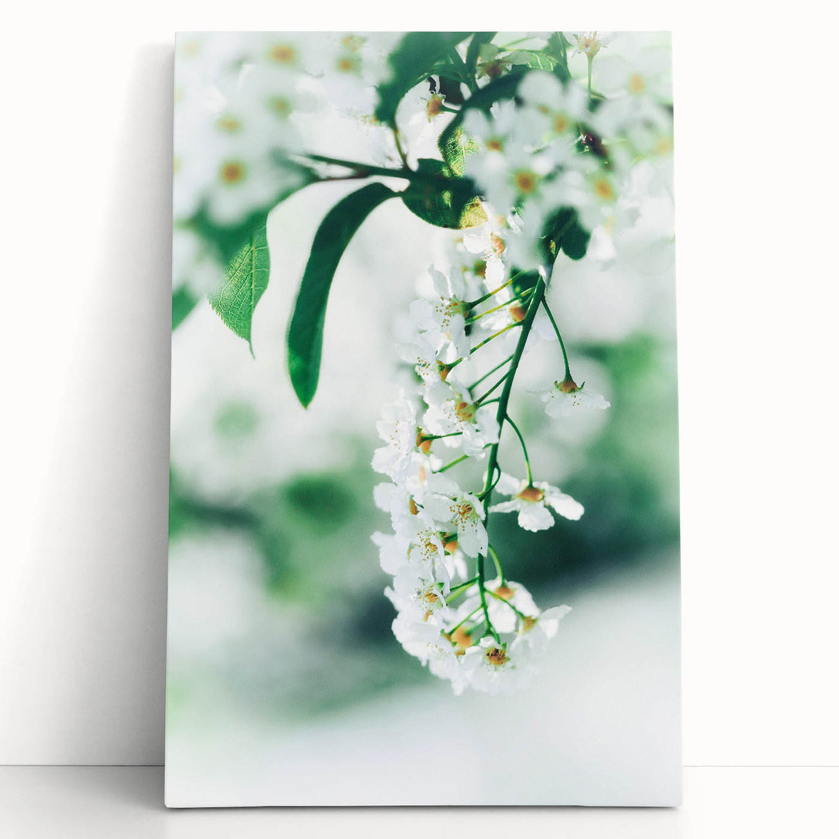 Black and white large art on stretched canvas featuring abstract spring design.