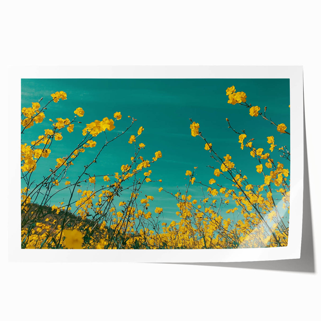 Rolled landscape print depicting a serene countryside scene with lush green fields and a vibrant blue sky, elegantly packaged for protection in a sturdy tube.