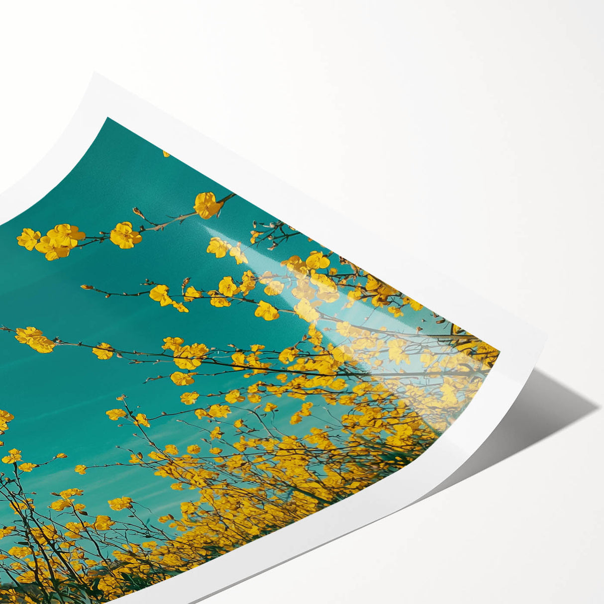 Scenic countryside landscape rolled print showcasing vibrant green fields under a blue sky, elegantly packaged in a protective cardboard tube for easy display.