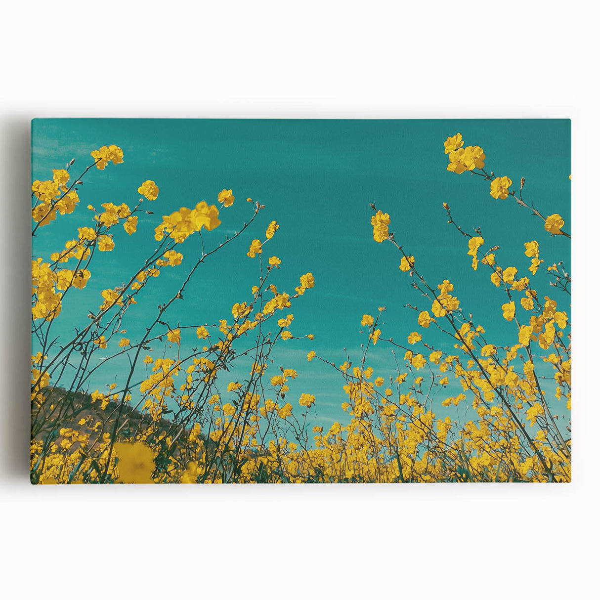 Stretched canvas artwork depicting a serene countryside landscape with vibrant green rolling hills, a clear blue sky, and scattered trees, perfect for home decor.