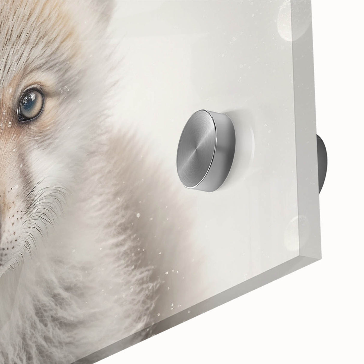 Adorable Wolf Pup Wall Art - Perfect for Kids Room Decor