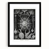 Abstract Modern Art – Bold Red and Black Design on Acrylic Glass