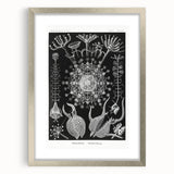 Abstract Modern Art – Bold Red and Black Design on Acrylic Glass