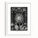 Abstract Modern Art – Bold Red and Black Design on Acrylic Glass