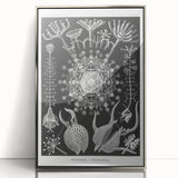 Abstract Modern Art – Bold Red and Black Design on Acrylic Glass