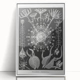 Abstract Modern Art – Bold Red and Black Design on Acrylic Glass