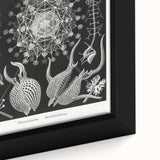 Abstract Modern Art – Bold Red and Black Design on Acrylic Glass