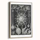 Abstract Modern Art – Bold Red and Black Design on Acrylic Glass