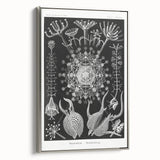 Abstract Modern Art – Bold Red and Black Design on Acrylic Glass