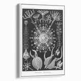 Abstract Modern Art – Bold Red and Black Design on Acrylic Glass