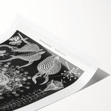 Abstract Modern Art – Bold Red and Black Design on Acrylic Glass